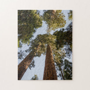 Giant Sequoias in Sequoia National Park Jigsaw Puzzle