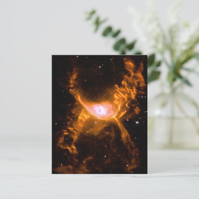 Giant Spider Nebula | Spider Lovers Gift (Standing Front)