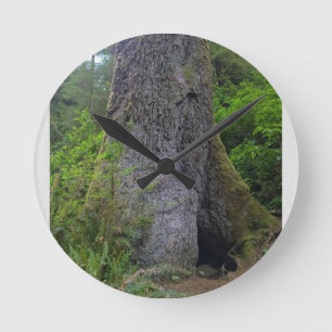 Giant Spruce Tree, Cape Perpetua, Oregon Round Clock