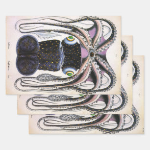 Giant Squid or Octopus, Vintage Marine Life Animal Wrapping Paper Sheet