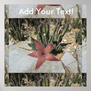 Giant Starfish Cactus Poster