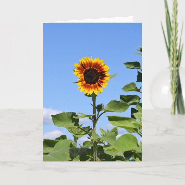 Giant Sunflower - Happy Greeting Card (Front)