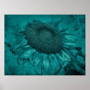 Giant Sunflower Teal Blue Vintage Antique Poster