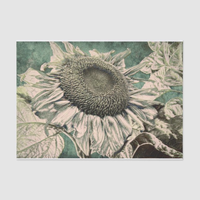 Giant Sunflower Vintage Green Beige Decoupage Tissue Paper (Front)