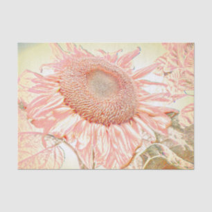 Giant Sunflower Vintage Pastel Pink Art Decoupage Tissue Paper