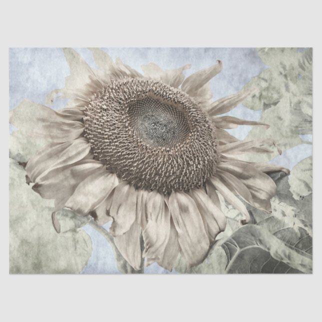 Giant Sunflower Yellow Pastel Vintage Antique Tissue Paper (Front)