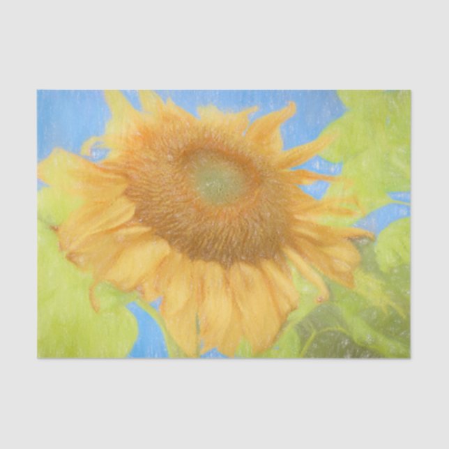 Giant Sunflowers Country Soft Yellow Sketch Art Tissue Paper (Front)