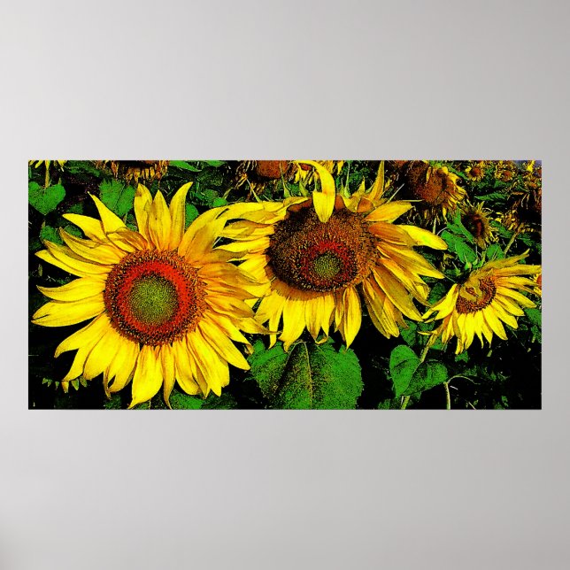 Giant Sunflowers,poster Poster (Front)