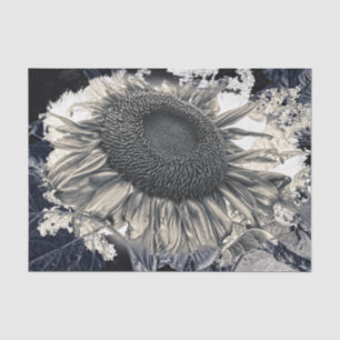 Giant Sunflowers Sepia Black White Vintage Rustic Tissue Paper