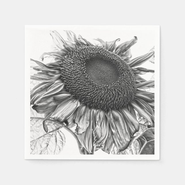 Giant Sunflowers Vintage Black And White Art Napkin (Front)