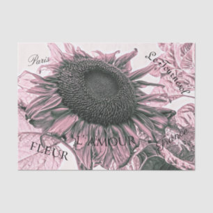 Giant Sunflowers Vintage Blush Pink Script Art Tissue Paper