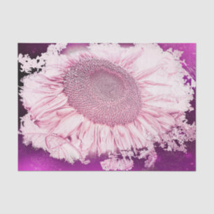 Giant Sunflowers Vintage Pink Fuchsia Vignette Tissue Paper
