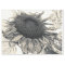 Giant Sunflowers Vintage Sepia Decoupage Art