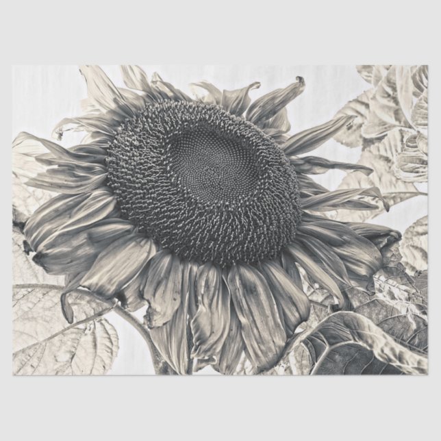 Giant Sunflowers Vintage Sepia Decoupage Art Tissue Paper (Front)