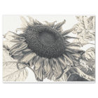 Giant Sunflowers Vintage Sepia Decoupage Art