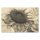 Giant Sunflowers Vintage Sepia Decoupage Art