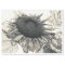 Giant Sunflowers Vintage Sepia Decoupage Art