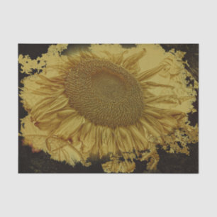 Giant Sunflowers Vintage Yellow Black Vignette Tissue Paper