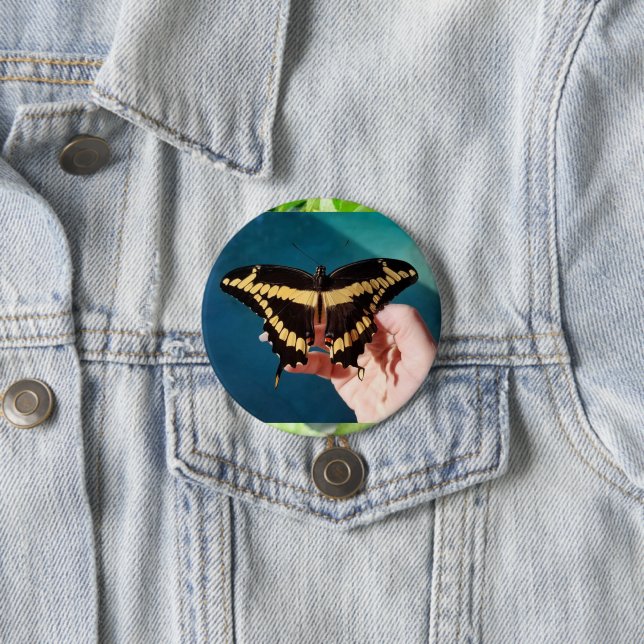 Giant Swallowtail Butterfly 7.5 Cm Round Badge (In Situ)