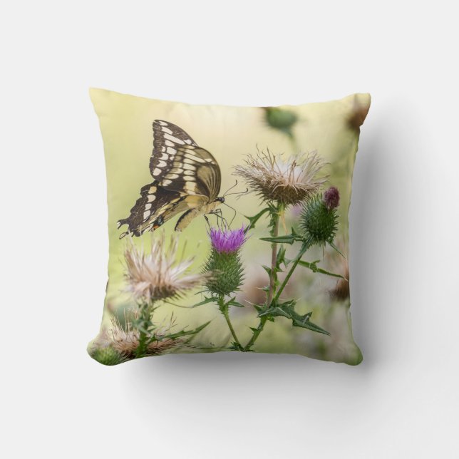 Giant Swallowtail Butterfly Cushion (Front)