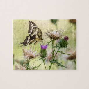 Giant Swallowtail Butterfly Jigsaw Puzzle