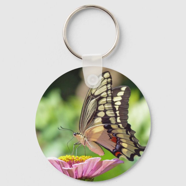 Giant Swallowtail Butterfly Key Ring (Front)
