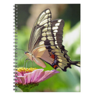 Giant Swallowtail Butterfly Spiral Notebook