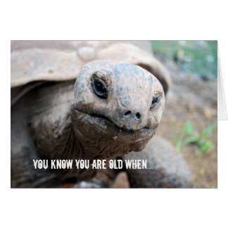 Giant Tortoise Memory Lapse