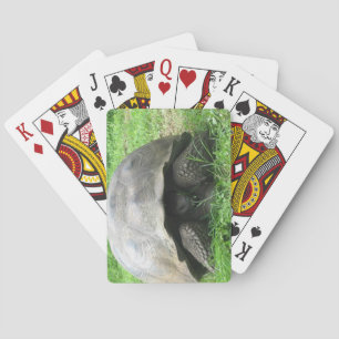 Giant Tortoise Playing Cards