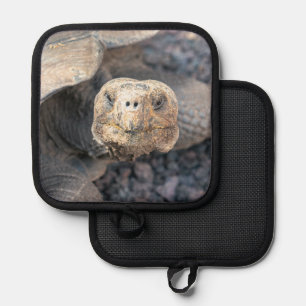Giant Tortoise Pot Holder