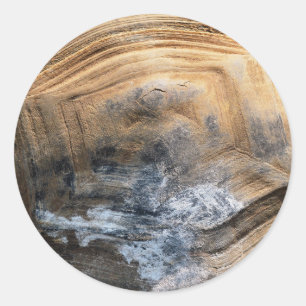 GIANT TORTOISE SHELL CLASSIC ROUND STICKER