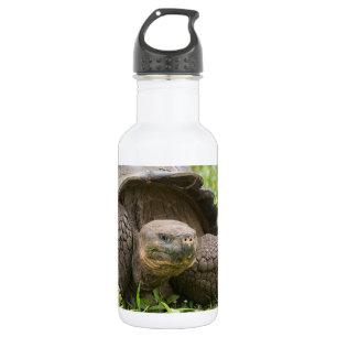 Giant turtle 532 ml water bottle