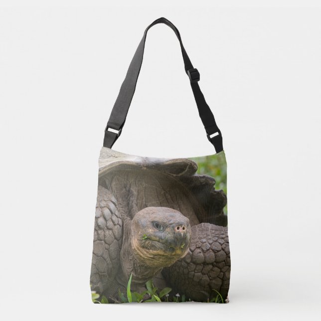 Giant turtle crossbody bag (Front)