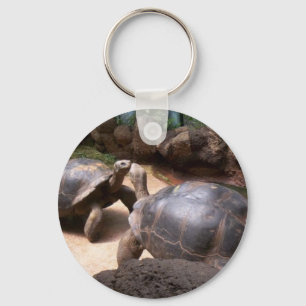 Giant Turtle Kiss Key Ring
