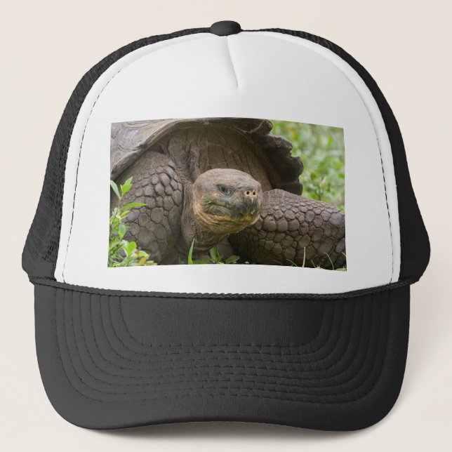 Giant turtle trucker hat (Front)