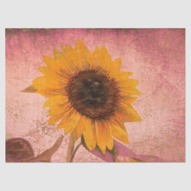Giant Vintage Sunflower Pink Yellow Texture Tissue Paper (Front)