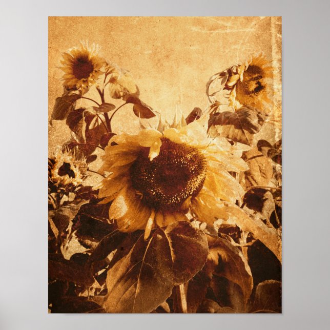 Giant Vintage Sunflowers Sepia Decoupage Art Poster (Front)