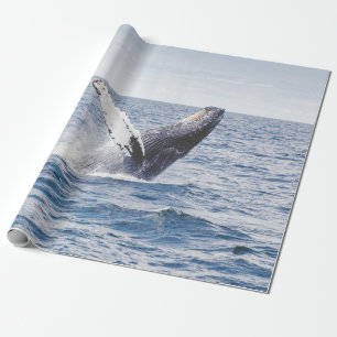 Giant Whale Jumps Out Of Ocean Wrapping Paper