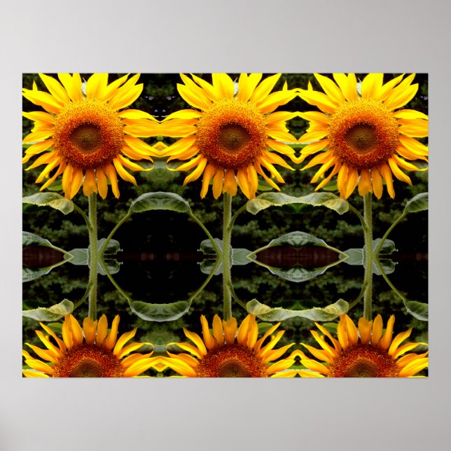 Giant yellow Sunflower yellow flowers pattern   Poster (Front)