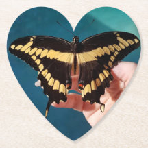 Giant Yellow Swallowtail Butterfly