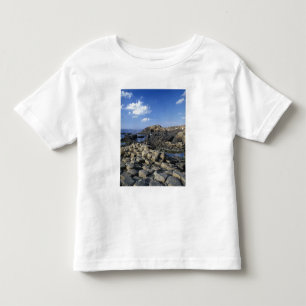 Giants Causeway, County Antrim, Northern Toddler T-Shirt