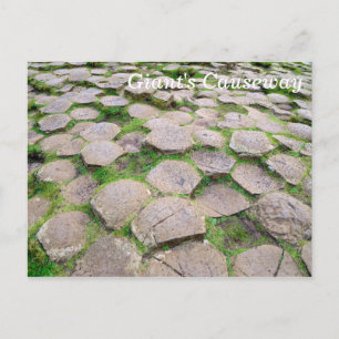 Giant's Causeway Postcard
