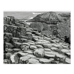 Giant's Causeway Shoreline Photo Print
