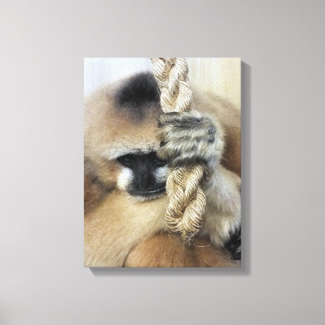 GIBBON CANVAS PRINT (Front)