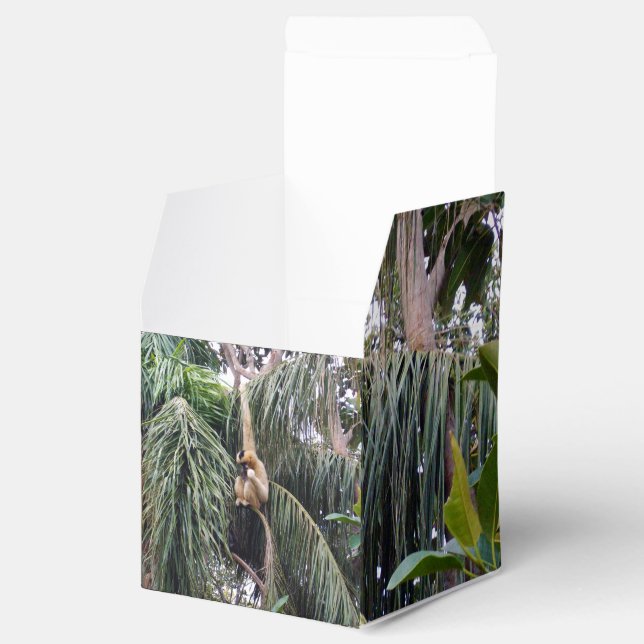 Gibbon Monkey Just Chillin, Favor Party Box (Opened)