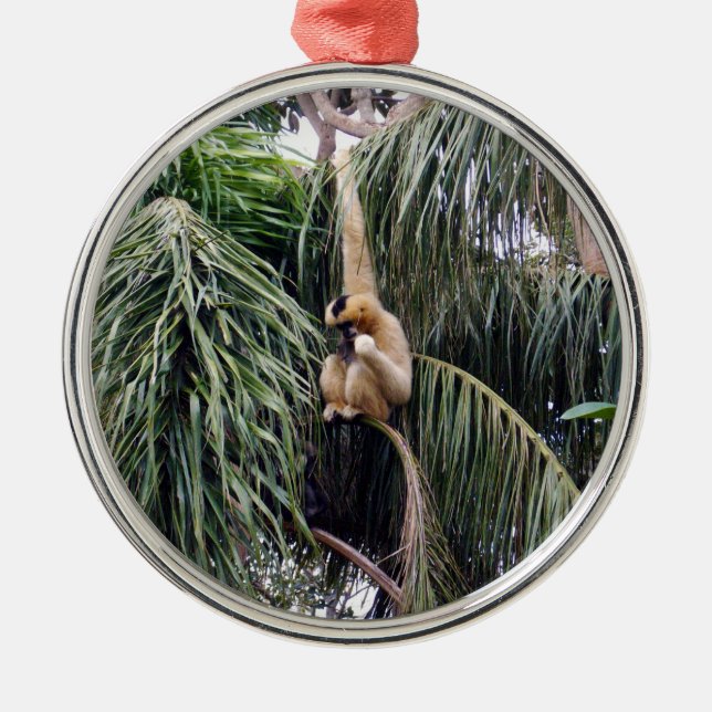 Gibbon Monkey Just Hanging Around, Metal Tree Decoration (Front)