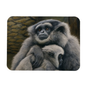 Gibbon Shelter – Emotional Wildlife Portrait Magnet