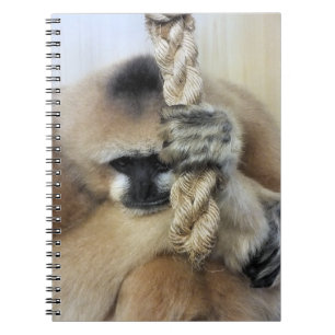 GIBBON SPIRAL NOTEBOOK