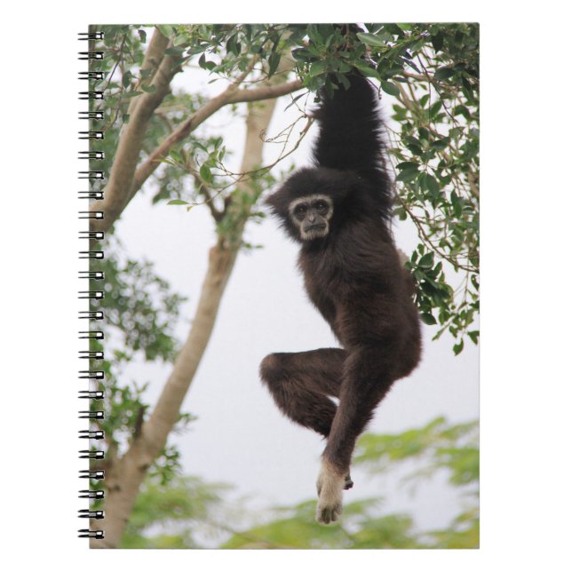 Gibbon Swinging from Tree Notebook (Front)