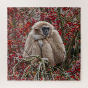 Gibbon's Solitude Jigsaw Puzzle